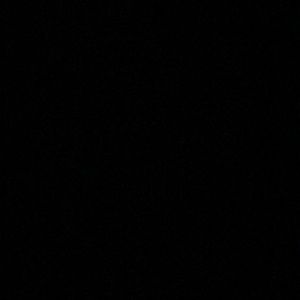 Meet your Posher, Kat